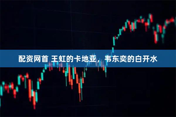 配资网首 王虹的卡地亚，韦东奕的白开水